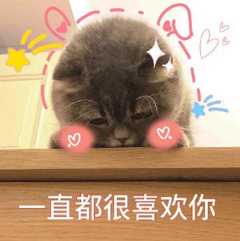 汪星人表情包