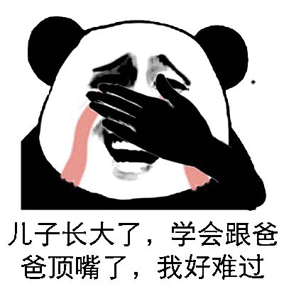 儿子长大了，学会跟爸爸顶嘴了