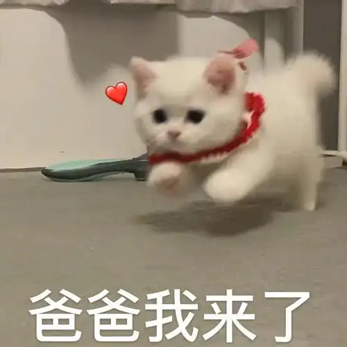 世上只有爸爸好，来投入爸爸怀抱！